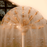 Gros plan d'une mini-hémisphére d'eau