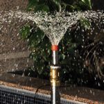 Impresionante efecto de los chorros de agua dinámicos del hibiscus