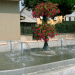 Water fountain with fountain nozzle Mushroom Jet type            