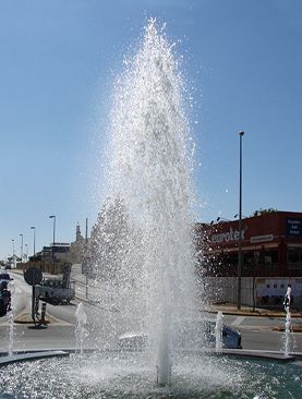 Tobera Abeto de Nieve en una fuente de agua