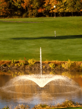 Arum Lily Jet floating fountain