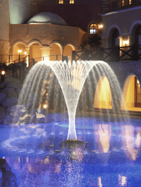 floating fountain Palm Tree