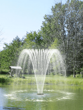 floating fountain Willow